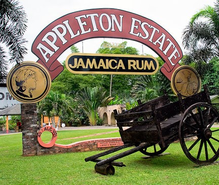 Appleton Estate – nejstarší jamajské rumy s "terrior"