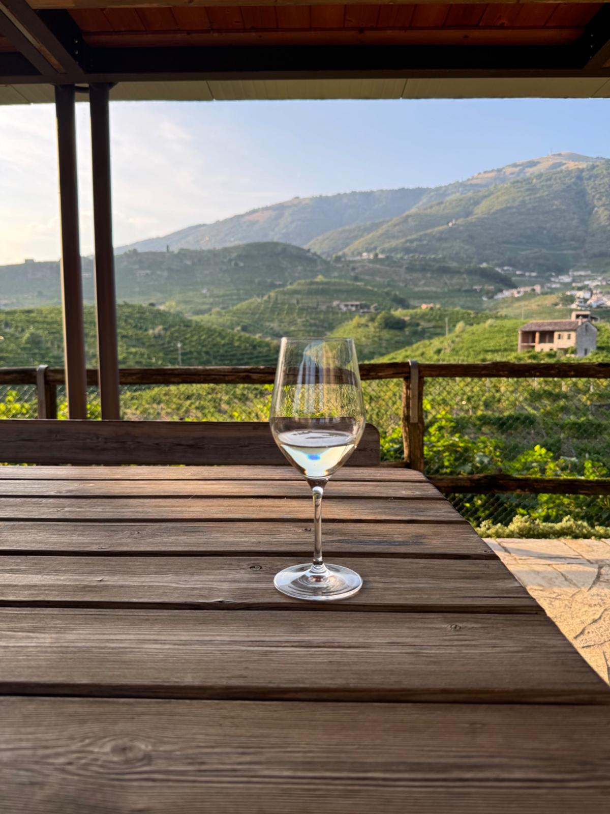 Jak vybrat správné Prosecco?