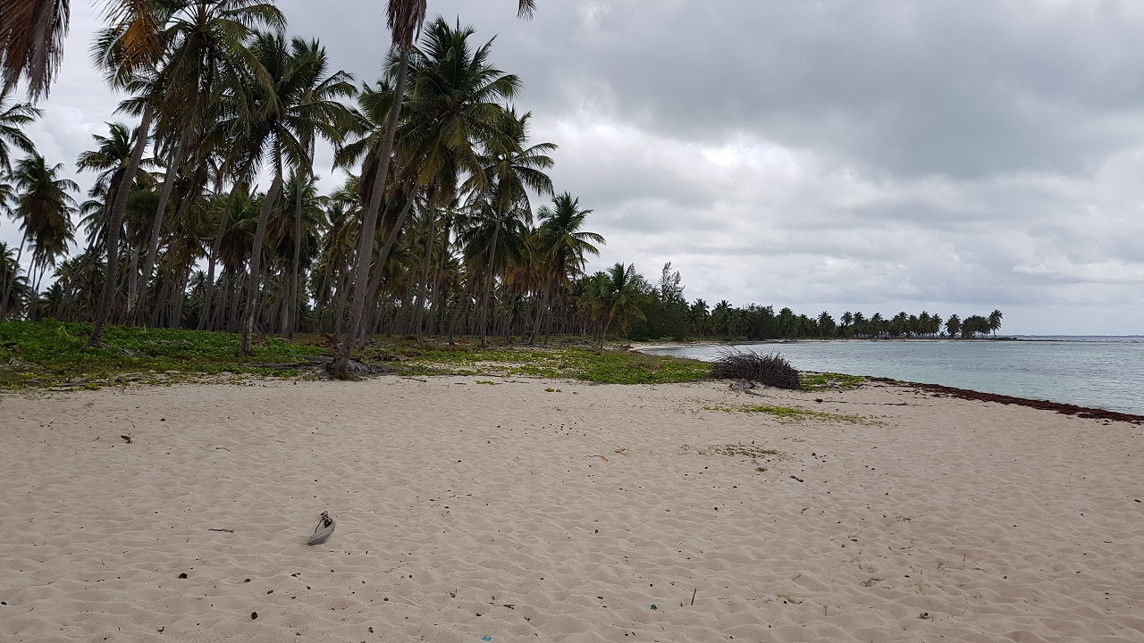 Voňavý výlet za Barcelo rumem