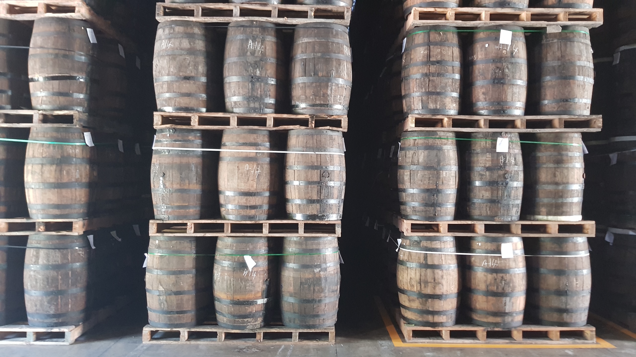 Dominikanska-republika-barcelo-palirna-sudy