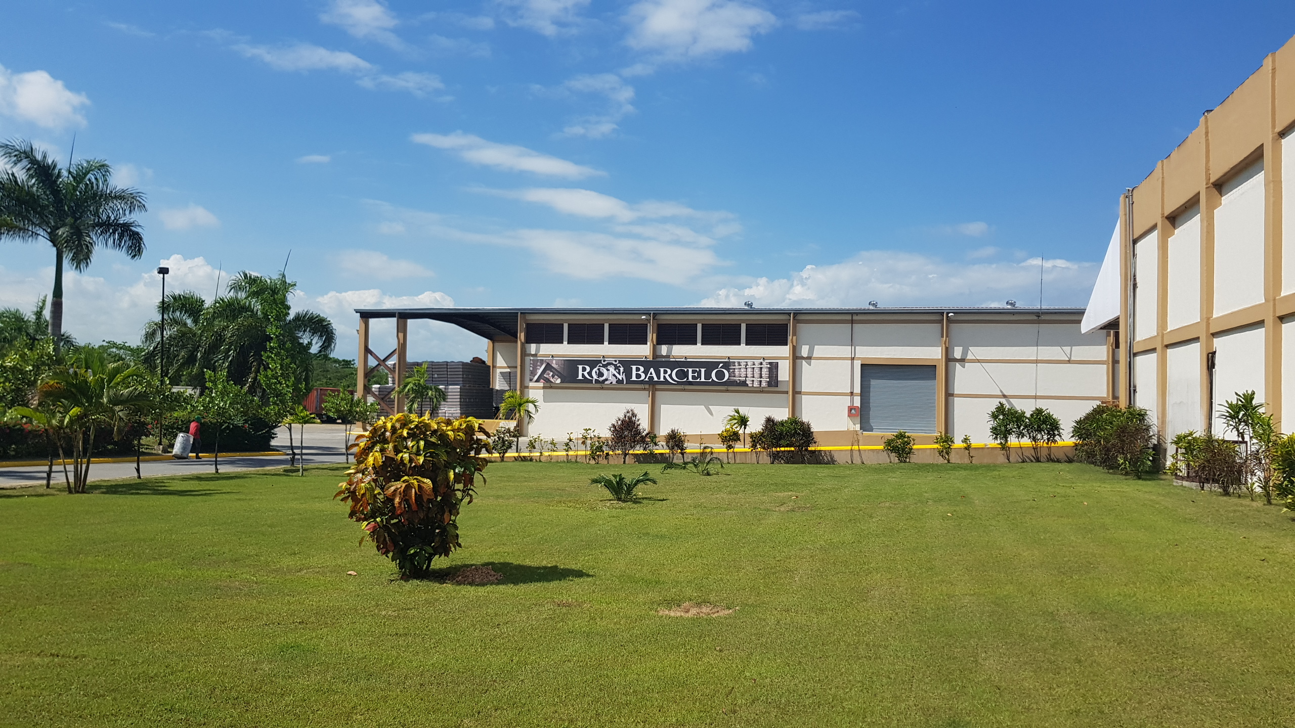 Dominikanska-republika-barcelo-palirna