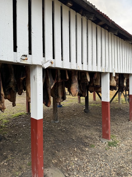 Island-fermentovany-zralok