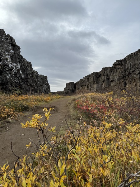 Island-tektonicke-desky