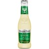 91672 Ginger Ale